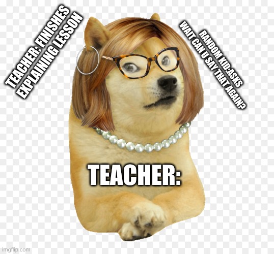 teacher doge meme | RANDOM KID:ASKS  WAIT CAN U SAY THAT AGAIN? TEACHER: FINISHES EXPLAINING LESSON; TEACHER: | image tagged in teacher doge meme | made w/ Imgflip meme maker