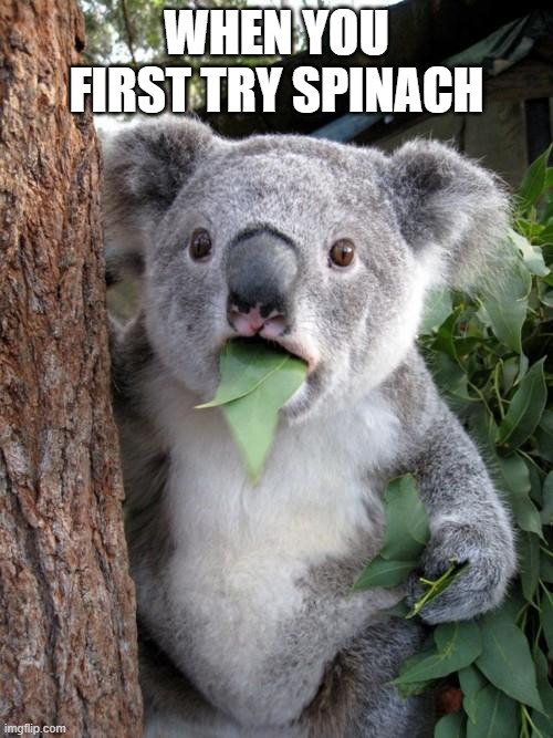 ew | WHEN YOU FIRST TRY SPINACH | image tagged in memes,surprised koala | made w/ Imgflip meme maker