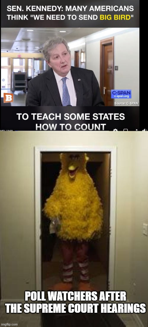 Big Bird is coming | POLL WATCHERS AFTER THE SUPREME COURT HEARINGS | image tagged in big bird door,voter fraud | made w/ Imgflip meme maker