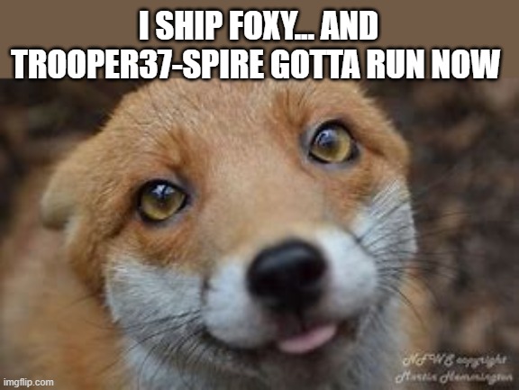 *screams* its a (dare) | I SHIP FOXY... AND TROOPER37-SPIRE GOTTA RUN NOW | made w/ Imgflip meme maker