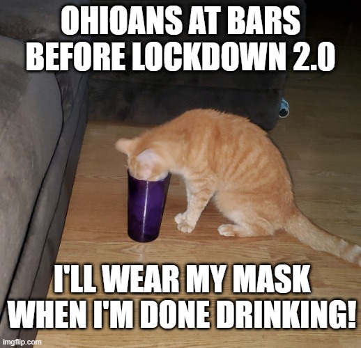 Ohio Lockdown 2.0 | OHIOANS AT BARS BEFORE LOCKDOWN 2.0; I'LL WEAR MY MASK WHEN I'M DONE DRINKING! | image tagged in ohio,dewine,cat,lockdown,bar,drinking | made w/ Imgflip meme maker