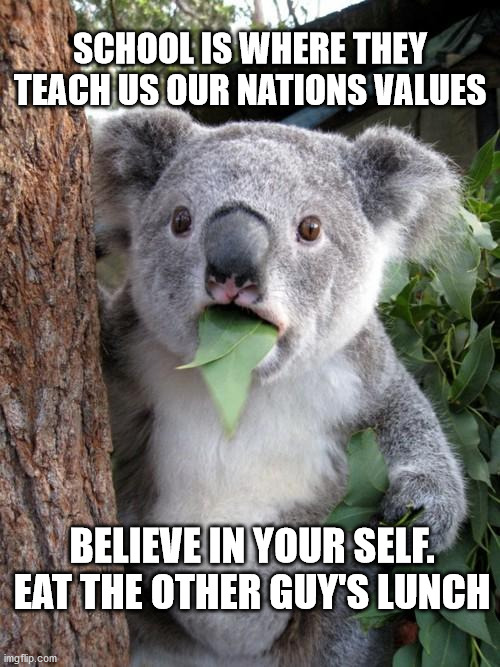 Surprised Koala | SCHOOL IS WHERE THEY TEACH US OUR NATIONS VALUES; BELIEVE IN YOUR SELF. EAT THE OTHER GUY'S LUNCH | image tagged in memes,surprised koala | made w/ Imgflip meme maker