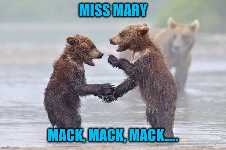 For all we know | MISS MARY; MACK, MACK, MACK..... | image tagged in bears,clapping | made w/ Imgflip meme maker