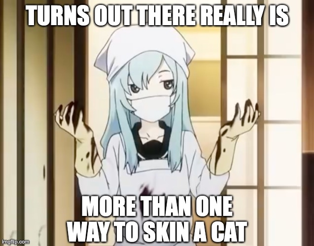 Inestimable Value | TURNS OUT THERE REALLY IS; MORE THAN ONE WAY TO SKIN A CAT | image tagged in bloody mero,memes,anime,proverb | made w/ Imgflip meme maker