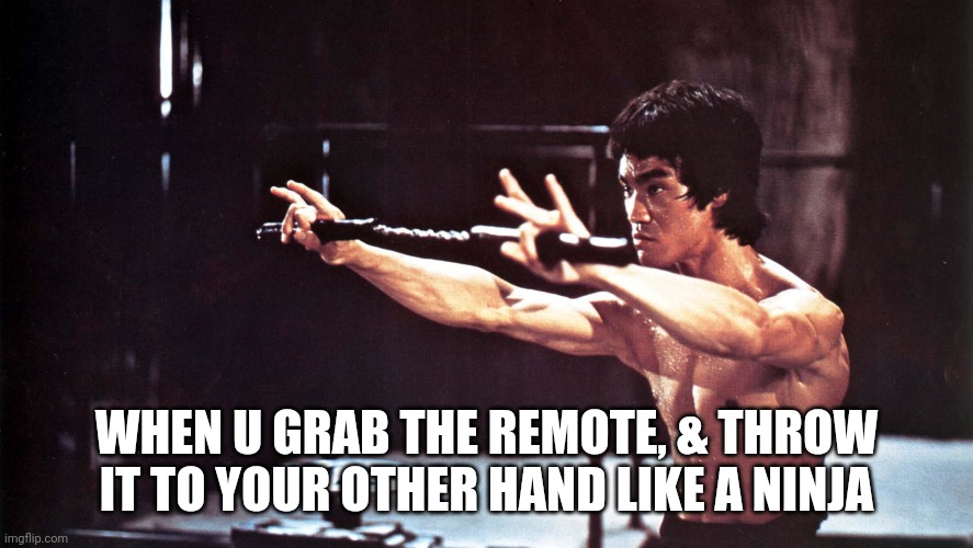 Remote | WHEN U GRAB THE REMOTE, & THROW IT TO YOUR OTHER HAND LIKE A NINJA | image tagged in remote | made w/ Imgflip meme maker