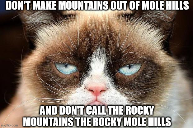 Grumpy Cat Not Amused | DON'T MAKE MOUNTAINS OUT OF MOLE HILLS; AND DON'T CALL THE ROCKY MOUNTAINS THE ROCKY MOLE HILLS | image tagged in memes,grumpy cat not amused,grumpy cat | made w/ Imgflip meme maker