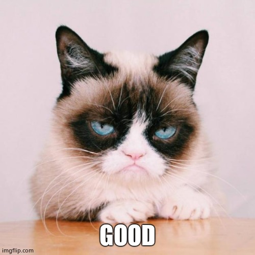 grumpy cat again | GOOD | image tagged in grumpy cat again | made w/ Imgflip meme maker