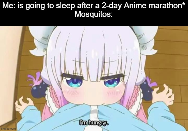 blood tastes sweet try it | Me: is going to sleep after a 2-day Anime marathon*
Mosquitos: | image tagged in miss kobayashi's dragon maid,bruh,kanna kamui,you thought this is a tag but it was i dio,memes,animeme | made w/ Imgflip meme maker