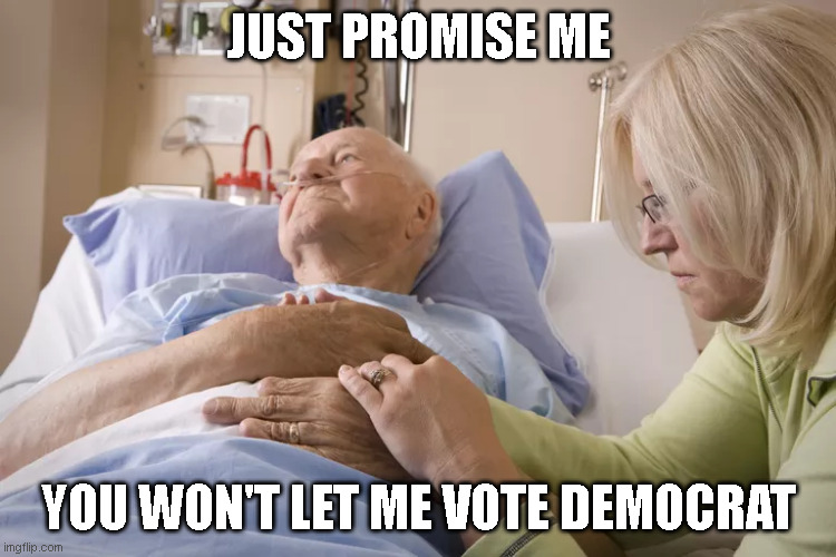 please don't let me vote democrat when i'm gone | JUST PROMISE ME; YOU WON'T LET ME VOTE DEMOCRAT | image tagged in democrat party,2020 elections | made w/ Imgflip meme maker