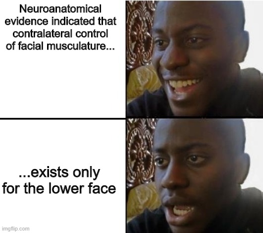 surpried disapointed man | Neuroanatomical evidence indicated that contralateral control of facial musculature... ...exists only for the lower face | image tagged in surpried disapointed man | made w/ Imgflip meme maker