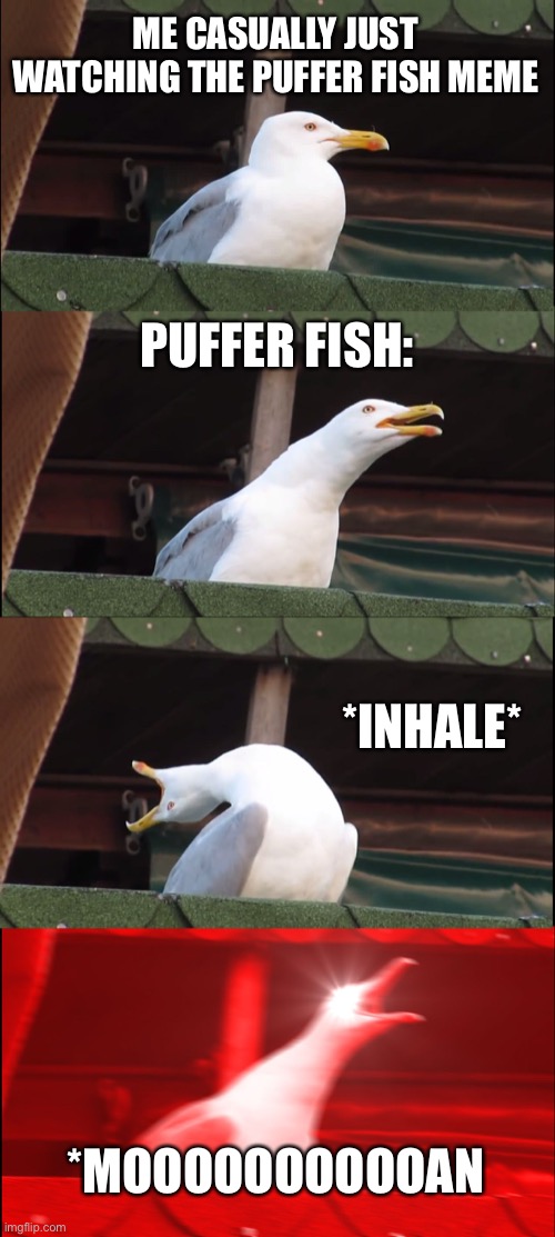 My childhood ruined | ME CASUALLY JUST WATCHING THE PUFFER FISH MEME; PUFFER FISH:; *INHALE*; *MOOOOOOOOOOAN | image tagged in memes,inhaling seagull | made w/ Imgflip meme maker
