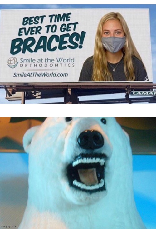 Taxidermy bear orthodontics bear | image tagged in blank white template,braces,polar bear,mummy | made w/ Imgflip meme maker