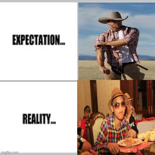 Cowboy | image tagged in expectation vs reality | made w/ Imgflip meme maker