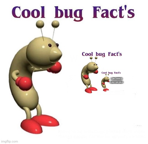 triple-facts | I SNOBBED HAHHAHAH | image tagged in cool bug facts,bbbbbbbbuuuugggggggggggggggggggggggggggggggggggg | made w/ Imgflip meme maker