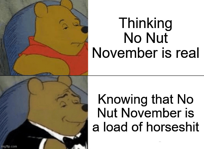 No Nut November is Fake, Morons! | Thinking No Nut November is real; Knowing that No Nut November is a load of horseshit | image tagged in memes,tuxedo winnie the pooh,no nut november,idiots,stupid people,stupidity | made w/ Imgflip meme maker