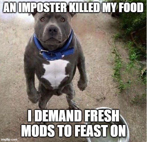 Hungry Dog | AN IMPOSTER KILLED MY FOOD I DEMAND FRESH MODS TO FEAST ON | image tagged in hungry dog | made w/ Imgflip meme maker