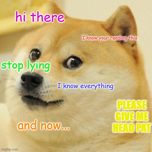 Doge Meme | hi there; I know your reading this; stop lying; I know everything; PLEASE GIVE ME HEAD PAT; and now... | image tagged in memes,doge | made w/ Imgflip meme maker