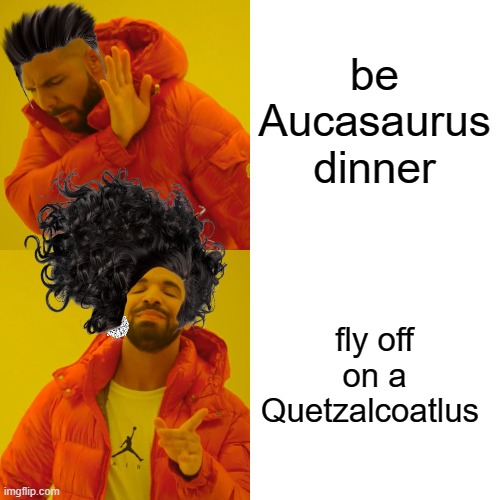 Drake Hotline Bling Meme | be Aucasaurus dinner fly off on a Quetzalcoatlus | image tagged in memes,drake hotline bling | made w/ Imgflip meme maker
