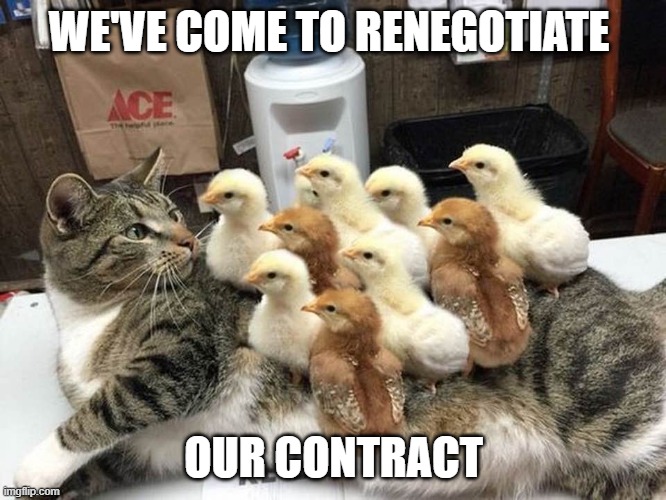 Cat | WE'VE COME TO RENEGOTIATE; OUR CONTRACT | image tagged in cat | made w/ Imgflip meme maker