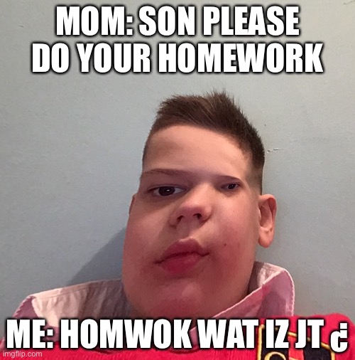 Kinda good memes | MOM: SON PLEASE DO YOUR HOMEWORK; ME: HOMWOK WAT IZ JT ¿ | image tagged in thicc boi | made w/ Imgflip meme maker