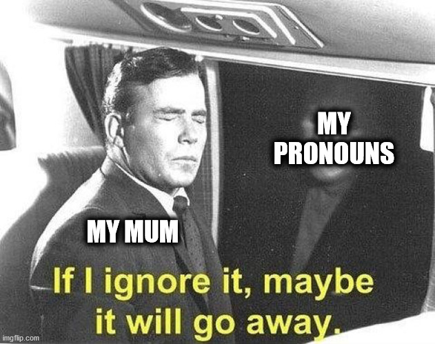 feels like she hates me | MY
PRONOUNS; MY MUM | image tagged in ignore it go away | made w/ Imgflip meme maker