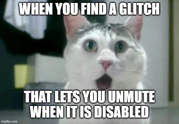 OMG Cat Meme | WHEN YOU FIND A GLITCH; THAT LETS YOU UNMUTE WHEN IT IS DISABLED | image tagged in memes,omg cat | made w/ Imgflip meme maker