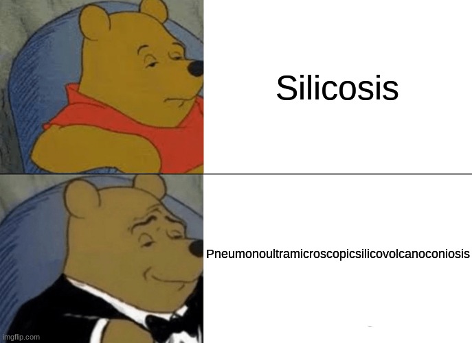 Pneumonoultramicroscopicsilicovolcanoconiosis | Silicosis; Pneumonoultramicroscopicsilicovolcanoconiosis | image tagged in memes,tuxedo winnie the pooh,so true memes | made w/ Imgflip meme maker