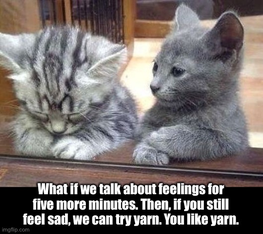 The Coolest Cats Will Try Cheering You Up When You’re Down | What if we talk about feelings for five more minutes. Then, if you still feel sad, we can try yarn. You like yarn. | image tagged in funny memes,funny cat memes,cute cats,cat memes | made w/ Imgflip meme maker