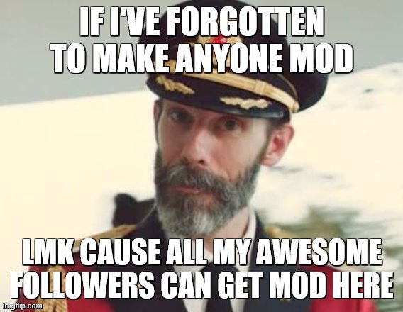 if you want mod and i've forgotten you, lmk | IF I'VE FORGOTTEN TO MAKE ANYONE MOD; LMK CAUSE ALL MY AWESOME FOLLOWERS CAN GET MOD HERE | image tagged in captain obvious | made w/ Imgflip meme maker