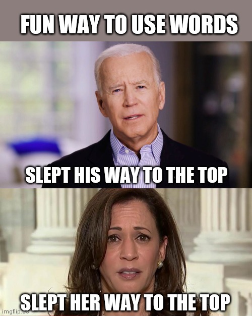 FUN WAY TO USE WORDS; SLEPT HIS WAY TO THE TOP; SLEPT HER WAY TO THE TOP | image tagged in joe biden 2020,kamala harris | made w/ Imgflip meme maker