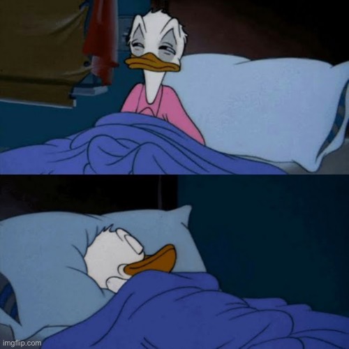 donald duck bed | image tagged in donald duck bed | made w/ Imgflip meme maker