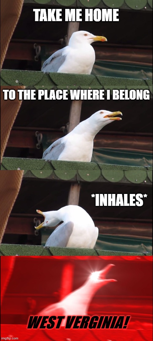 Inhaling Seagull Meme | TAKE ME HOME; TO THE PLACE WHERE I BELONG; *INHALES*; WEST VERGINIA! | image tagged in memes,inhaling seagull | made w/ Imgflip meme maker