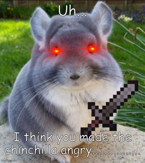 The Almighty Chinchilla | Uh... I think you made the chinchilla angry................ | image tagged in the almighty chinchilla | made w/ Imgflip meme maker