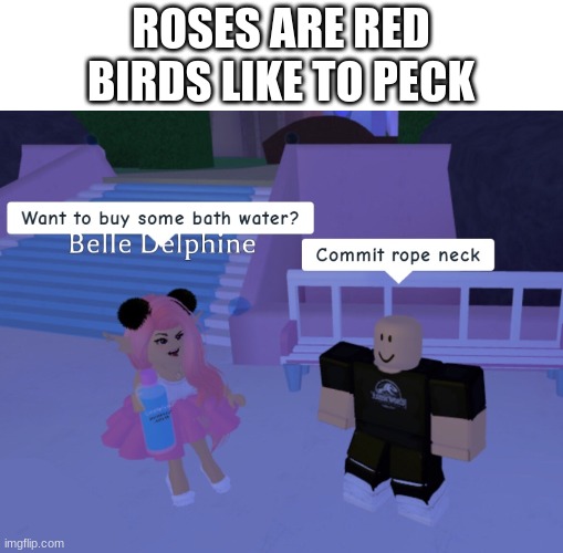 ROSES ARE RED
BIRDS LIKE TO PECK | image tagged in roblox meme | made w/ Imgflip meme maker