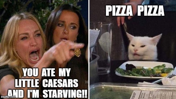 Angry lady cat | PIZZA  PIZZA; YOU  ATE  MY  LITTLE  CAESARS  AND  I'M  STARVING!! | image tagged in angry lady cat | made w/ Imgflip meme maker