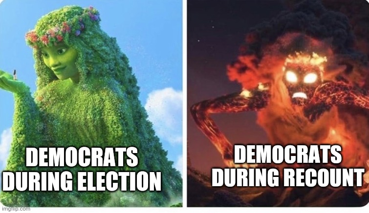 DEMOCRATS DURING ELECTION DEMOCRATS DURING RECOUNT | made w/ Imgflip meme maker