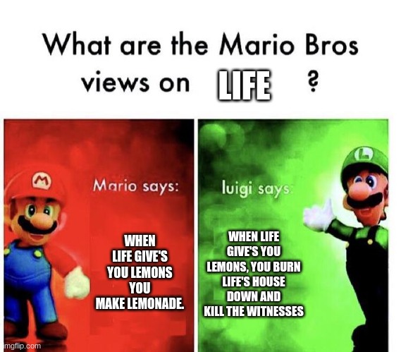 What are these? | LIFE; WHEN LIFE GIVE'S YOU LEMONS YOU MAKE LEMONADE. WHEN LIFE GIVE'S YOU LEMONS, YOU BURN LIFE'S HOUSE DOWN AND KILL THE WITNESSES | image tagged in mario bros views | made w/ Imgflip meme maker