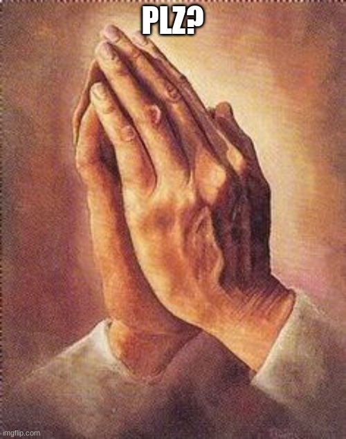 Praying Hands | PLZ? | image tagged in praying hands | made w/ Imgflip meme maker