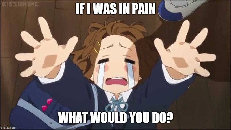 K-On | IF I WAS IN PAIN; WHAT WOULD YOU DO? | image tagged in k-on | made w/ Imgflip meme maker