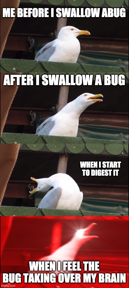 the bug | ME BEFORE I SWALLOW ABUG; AFTER I SWALLOW A BUG; WHEN I START TO DIGEST IT; WHEN I FEEL THE BUG TAKING OVER MY BRAIN | image tagged in memes,inhaling seagull | made w/ Imgflip meme maker