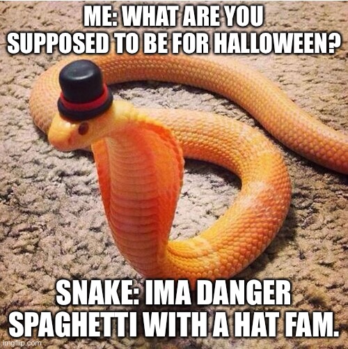 Dapper Snek | ME: WHAT ARE YOU SUPPOSED TO BE FOR HALLOWEEN? SNAKE: IMA DANGER SPAGHETTI WITH A HAT FAM. | image tagged in dapper snek | made w/ Imgflip meme maker