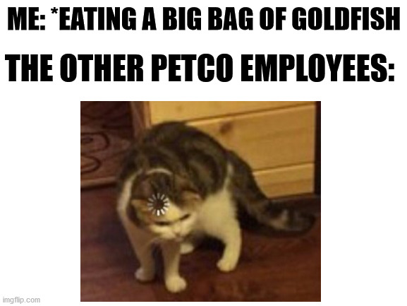 May they rest in bits and pieces | ME: *EATING A BIG BAG OF GOLDFISH; THE OTHER PETCO EMPLOYEES: | image tagged in loading cat | made w/ Imgflip meme maker