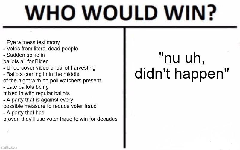 Unfortnately my money's on the later... | - Eye witness testimony
- Votes from literal dead people
- Sudden spike in ballots all for Biden
- Undercover video of ballot harvesting
- Ballots coming in in the middle of the night with no poll watchers present
- Late ballots being mixed in with regular ballots
- A party that is against every possible measure to reduce voter fraud
- A party that has proven they'll use voter fraud to win for decades; "nu uh, didn't happen" | image tagged in memes,who would win,voter fraud,election 2020,liberal logic | made w/ Imgflip meme maker