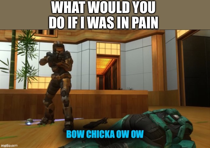 (No stellar)y’all would probably leave me to die, I would be fine with that | WHAT WOULD YOU DO IF I WAS IN PAIN | image tagged in rvb tucker bow chicka ow ow,memes,rvb,tucker | made w/ Imgflip meme maker