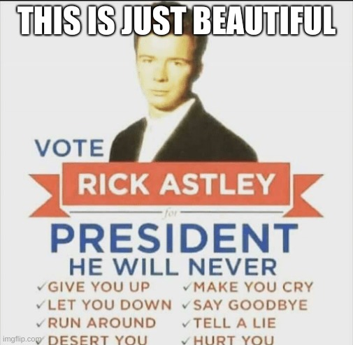 vote rick astley for president | THIS IS JUST BEAUTIFUL | image tagged in vote rick astley for president | made w/ Imgflip meme maker