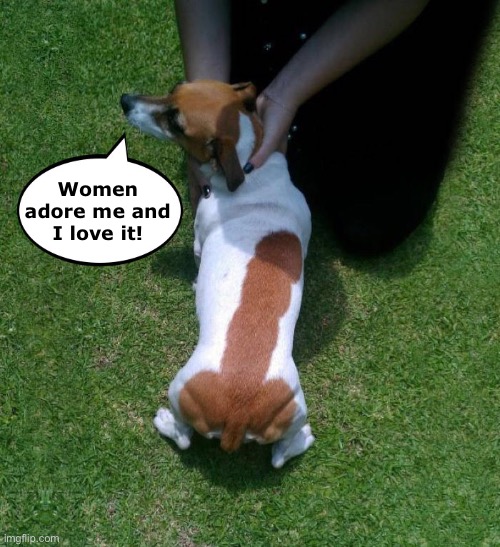 I Have a Way With The Ladies | Women adore me and
I love it! | image tagged in funny memes,funny dog memes,dogs,funny | made w/ Imgflip meme maker