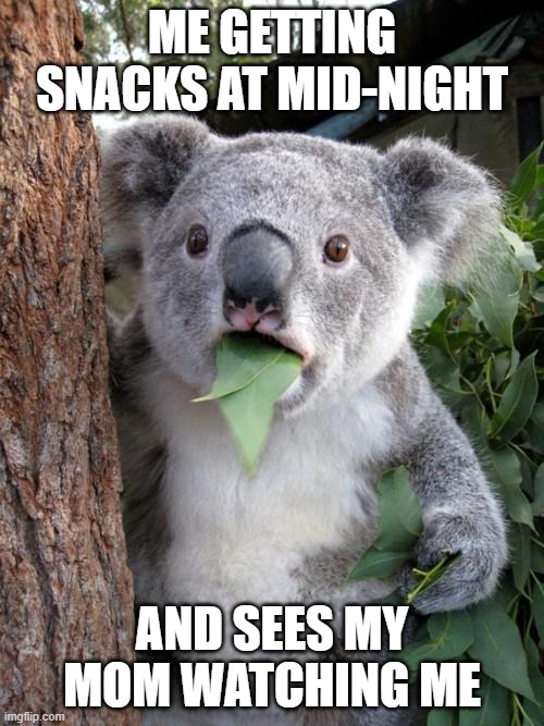 lazy lazy child | ME GETTING SNACKS AT MID-NIGHT; AND SEES MY MOM WATCHING ME | image tagged in memes,surprised koala | made w/ Imgflip meme maker