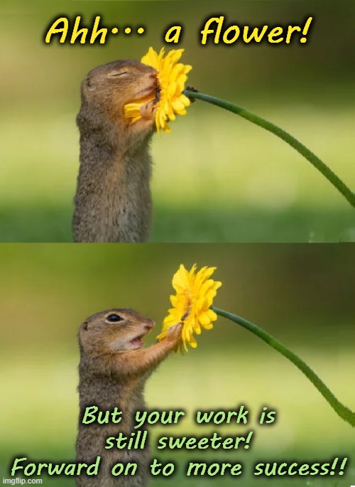 Squirrel Smelling Flower | Ahh... a flower! But your work is still sweeter!
Forward on to more success!! | image tagged in squirrel smelling flower | made w/ Imgflip meme maker