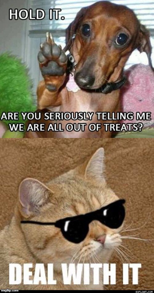 Deal with it | image tagged in treats | made w/ Imgflip meme maker