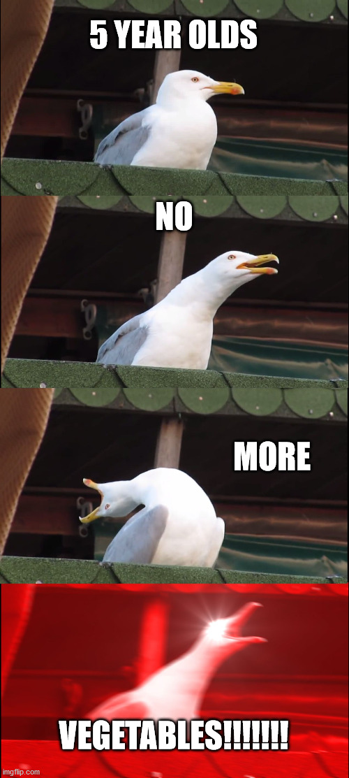 NONE | 5 YEAR OLDS; NO; MORE; VEGETABLES!!!!!!! | image tagged in memes,inhaling seagull | made w/ Imgflip meme maker